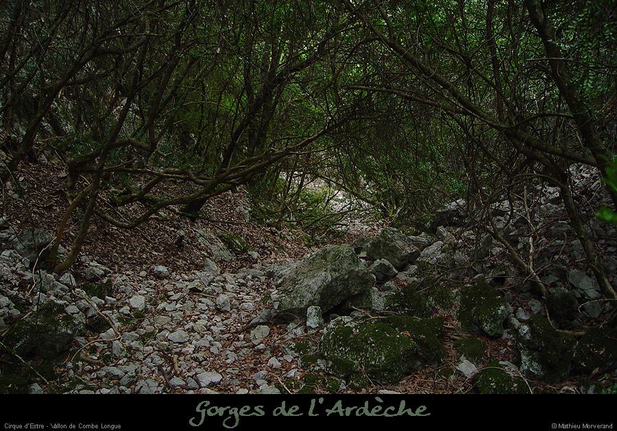 20051003_combelongue