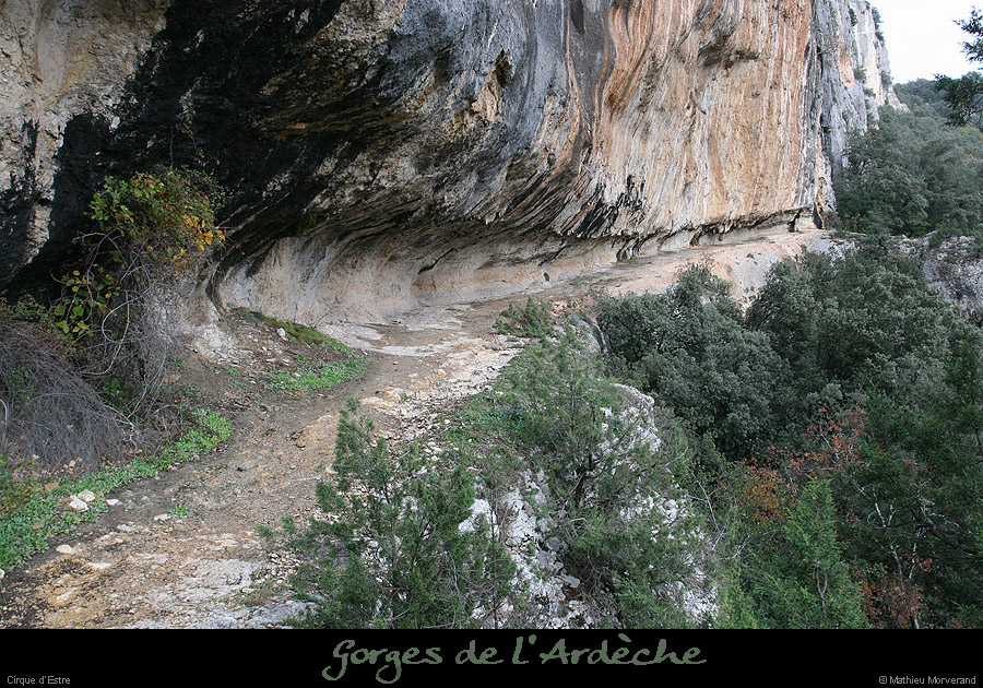 20061119_cirqueestrevire8