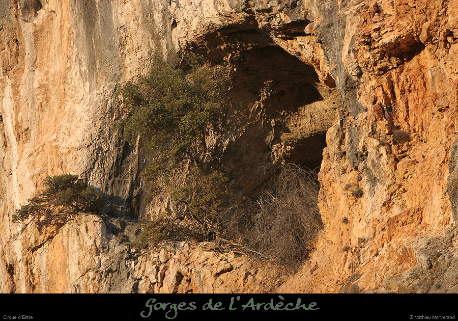 20070120_cirquestre2