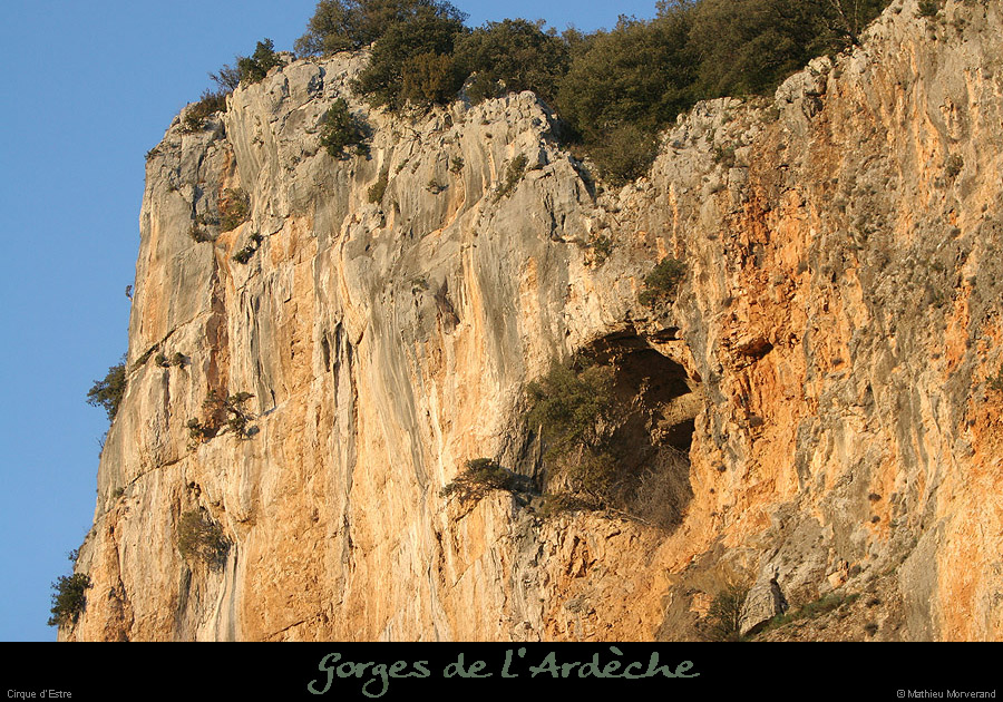 20070120_cirquestre3