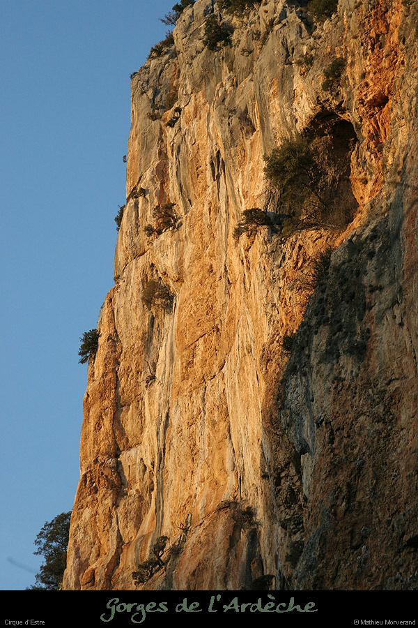 20070120_cirquestre4