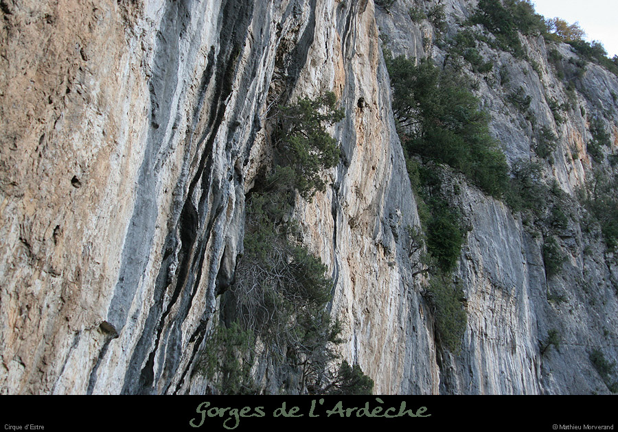 20070120_cirquestre5