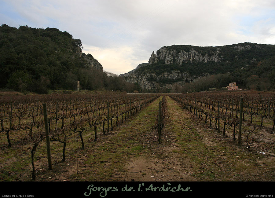 20130120_cirquedestre_vignes