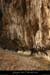 20130103_cirquedestre_vire1