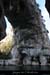 20120205_ptdarcparrd1