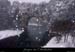 20011214_ptarcneigeav4