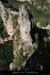 20100821_ptdarcdecretedumoine2