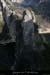 20110209_ptdarc_deviresupsud1