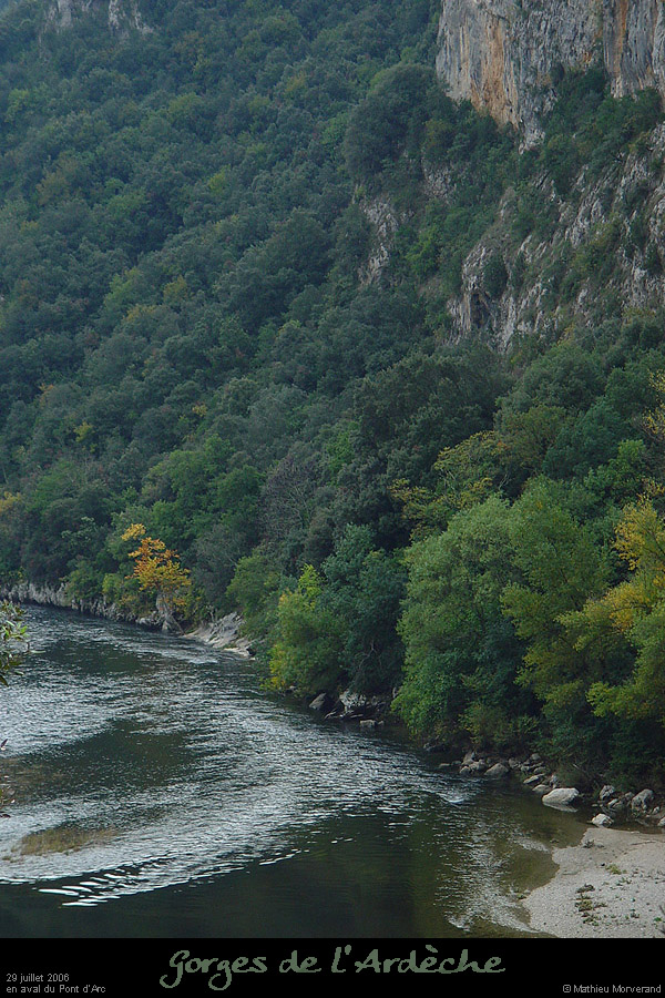20051020_avptarc