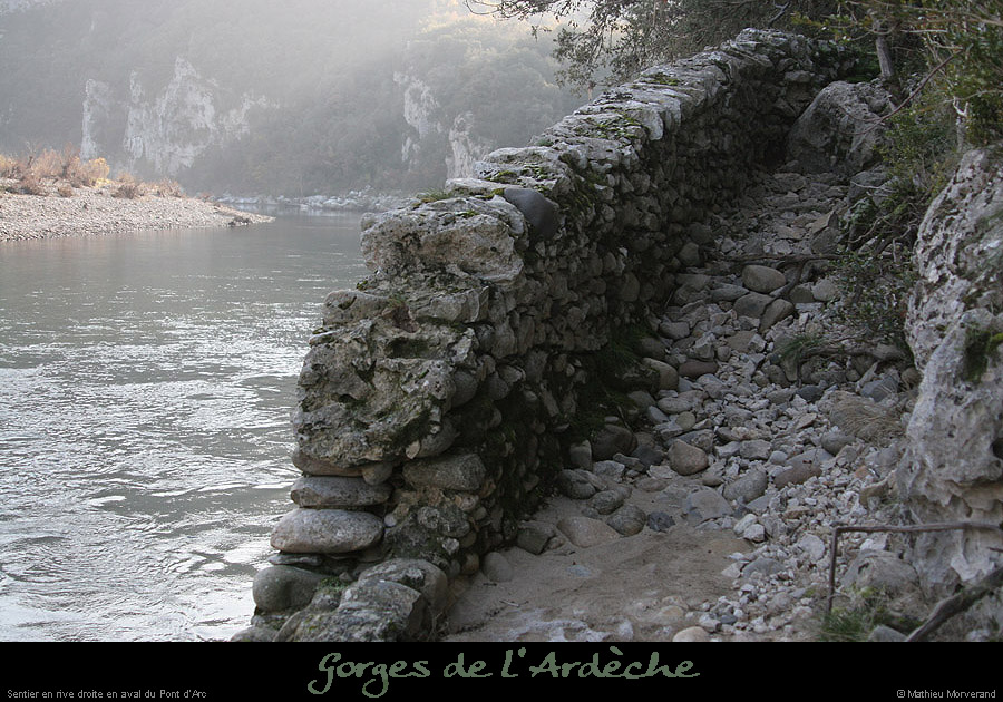 20061227_avptdarcrd2
