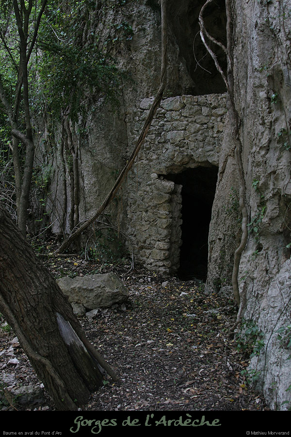 20070506_baumeavparcrd