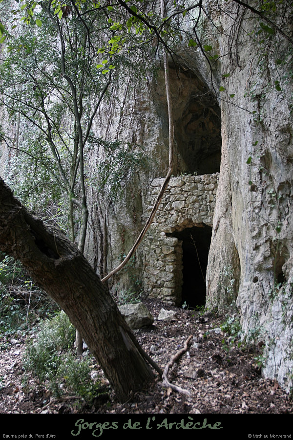 20110209_avpard_baumeamenagee2