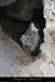 20061227_ptdarc_grotterd
