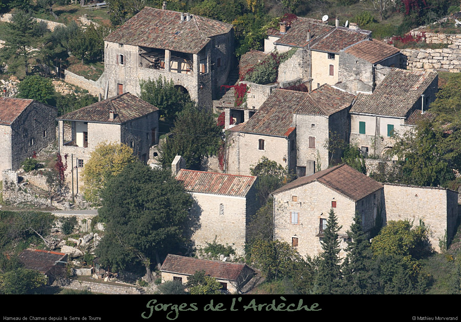 20081011_chamesdeserredetourre1