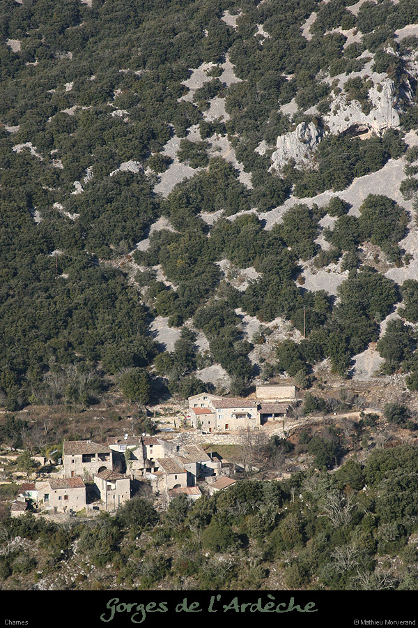 20090101_chames2