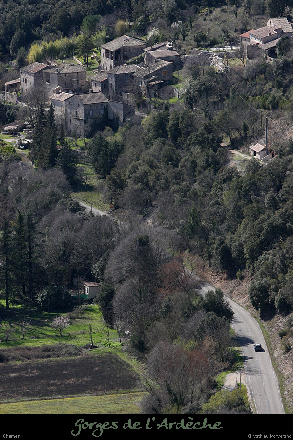 20100327_chamesdeserredetourre2