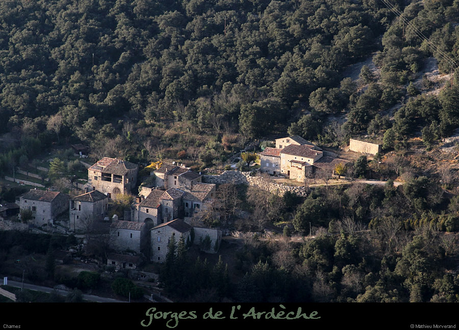 20111204_chamesdepuisleserredetourre