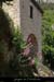 20140514_chames3