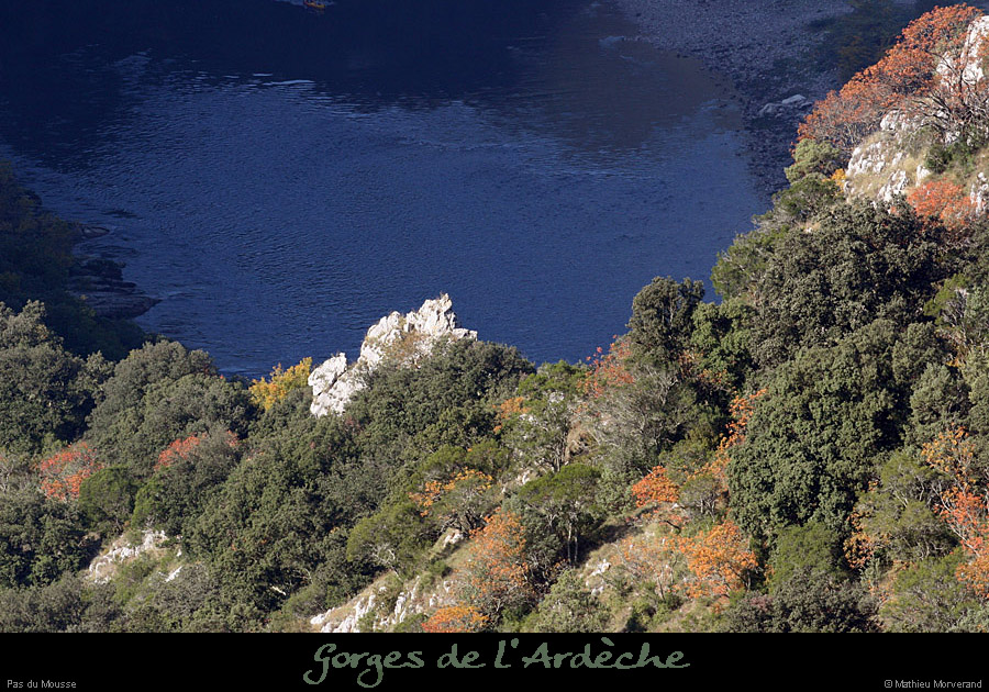 20081011_pasdumousse1
