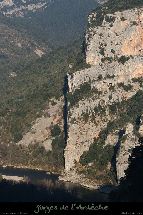 20081227_revaoudesaleyron1