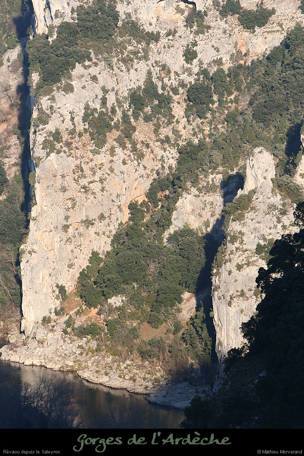 20081227_revaoudesaleyron2