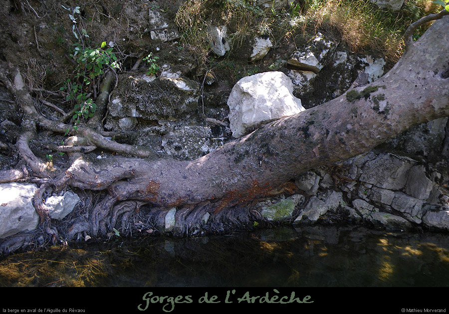 20090805_riveavrevaou1
