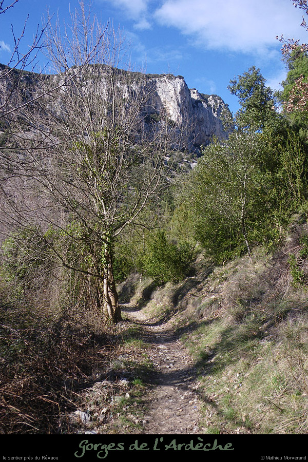 20110227_sentieramrevaou1