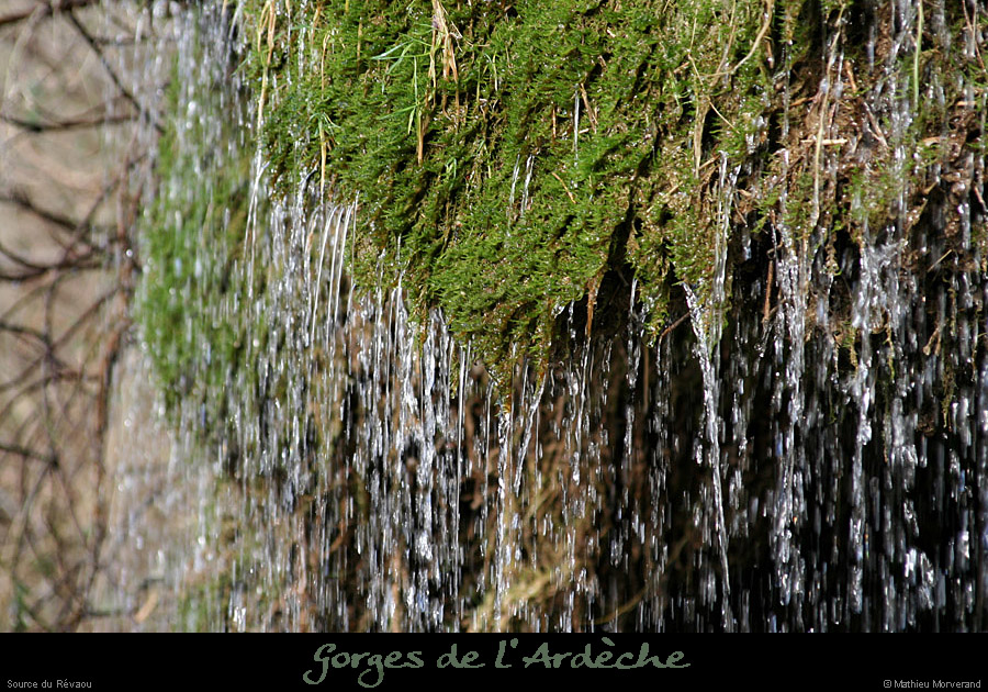 20081123_revaou_source14