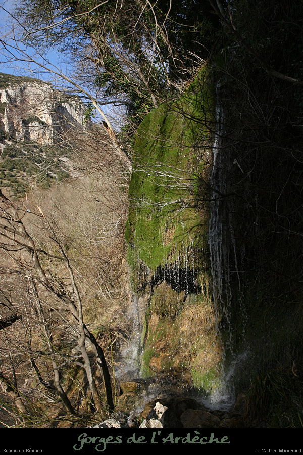 20081219_revaousrc01