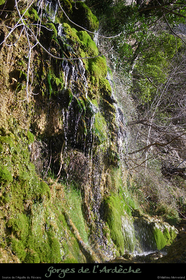 20110227_sourcedurevaou6