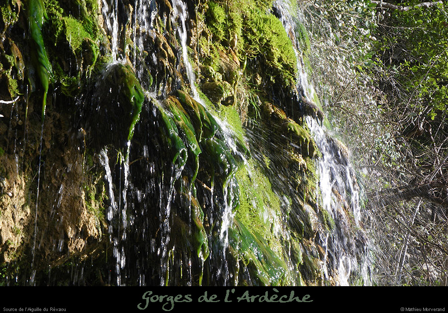 20110227_sourcedurevaou8