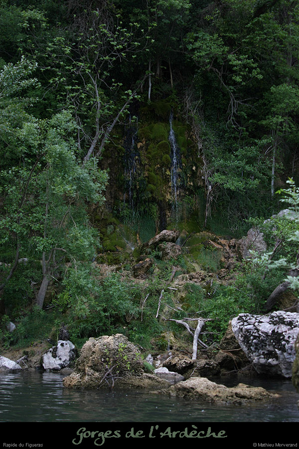 20110421_sourcerevaou