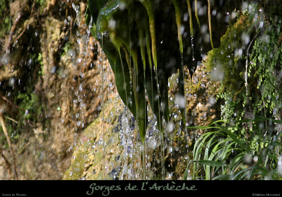 20110424_sourcerevaou1