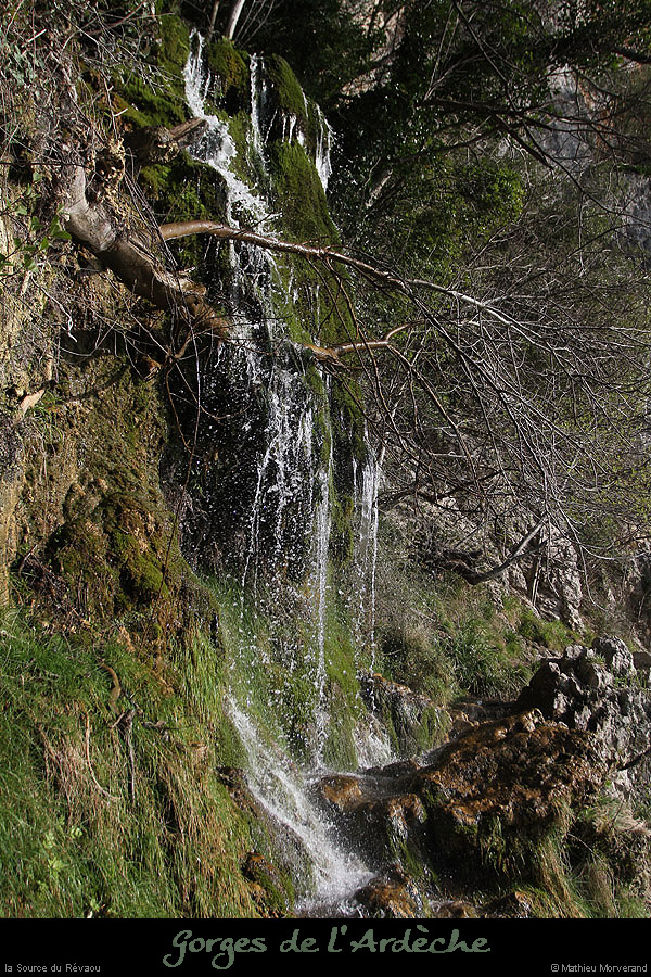 20130407_sourcerevaouparlenord04