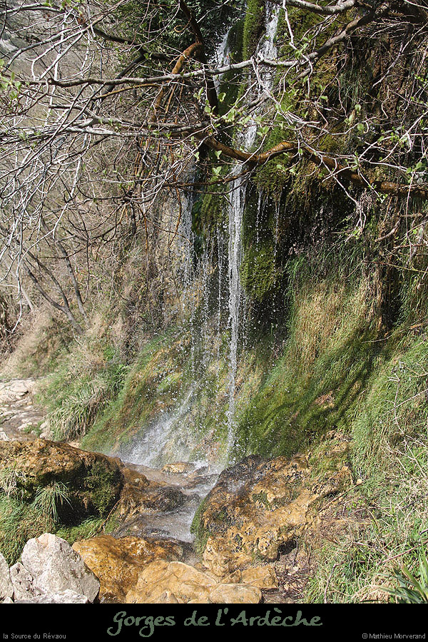 20130407_sourcerevaouparlesud01