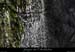 20081123_revaou_source02