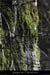 20081123_revaou_source03