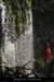 20081123_revaou_source09