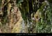 20110424_sourcerevaou1