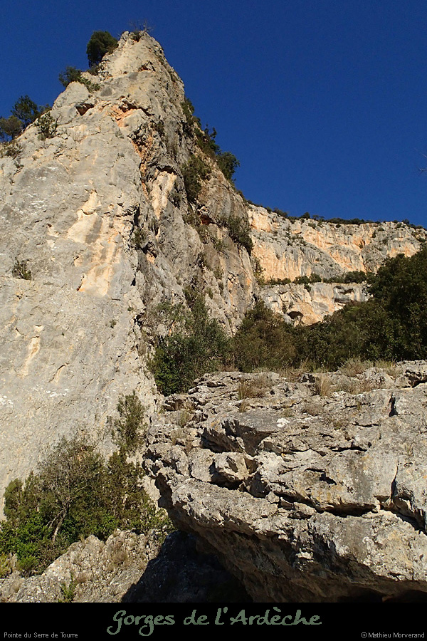 20140309_pteserredetourre