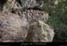 20081228_baumesserredetourre1_02