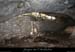 20081228_baumesserredetourre1_12