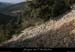 20081228_pierriersserredetourre2