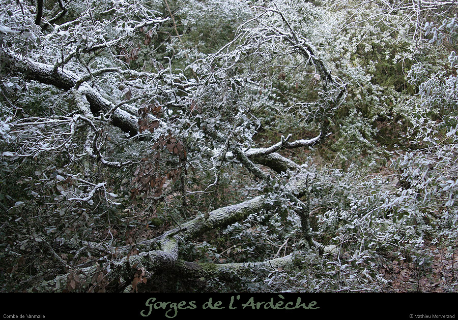 20061227_combevanmalle2