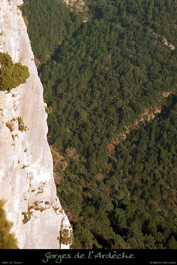 20010212_falaisetiourre08