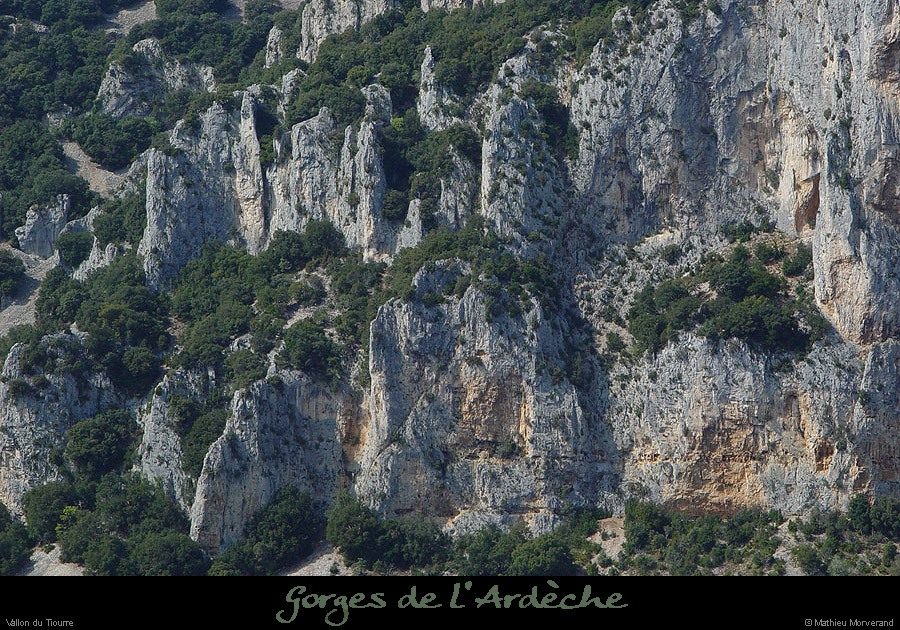 20030329_vtiourre05