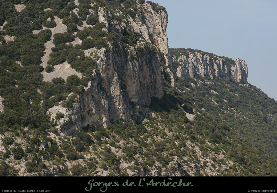 20080508_falaisetiourredebasfarre2