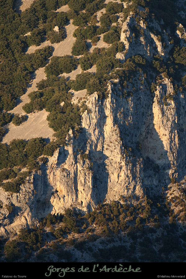 20081221_tiourrefalaisesdesaleyron1