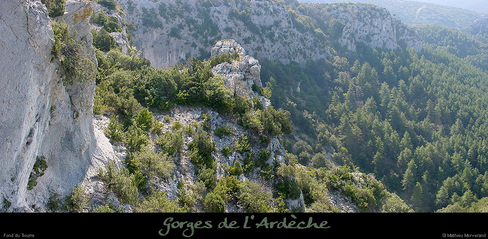 20020331_fdtiourre1