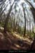 20120524_vallontiourre_sentiersouslafalette
